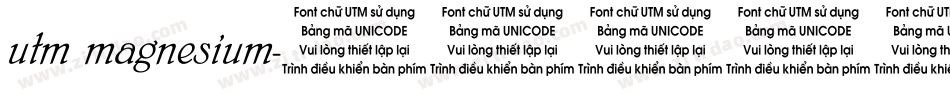 utm magnesium字体转换
